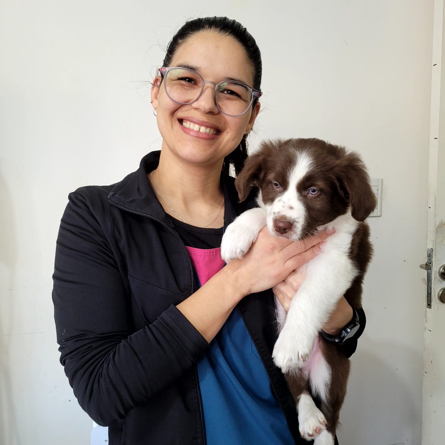 Equipo de cirugía veterinaria